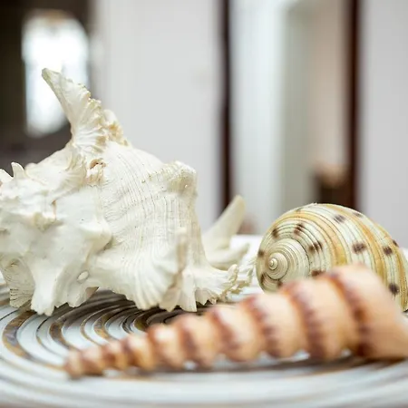 Casa Plumeria Of Old Town Rhodes Apartament *