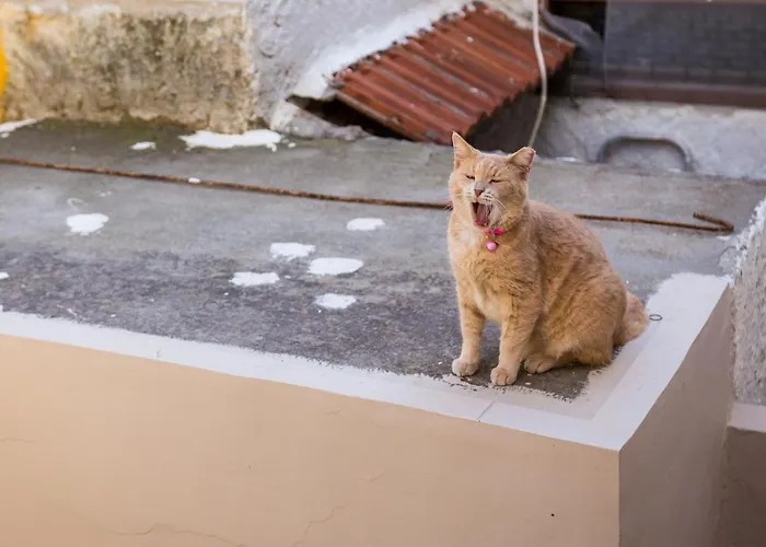 Casa Plumeria Of Old Town Rhodes Apartament *